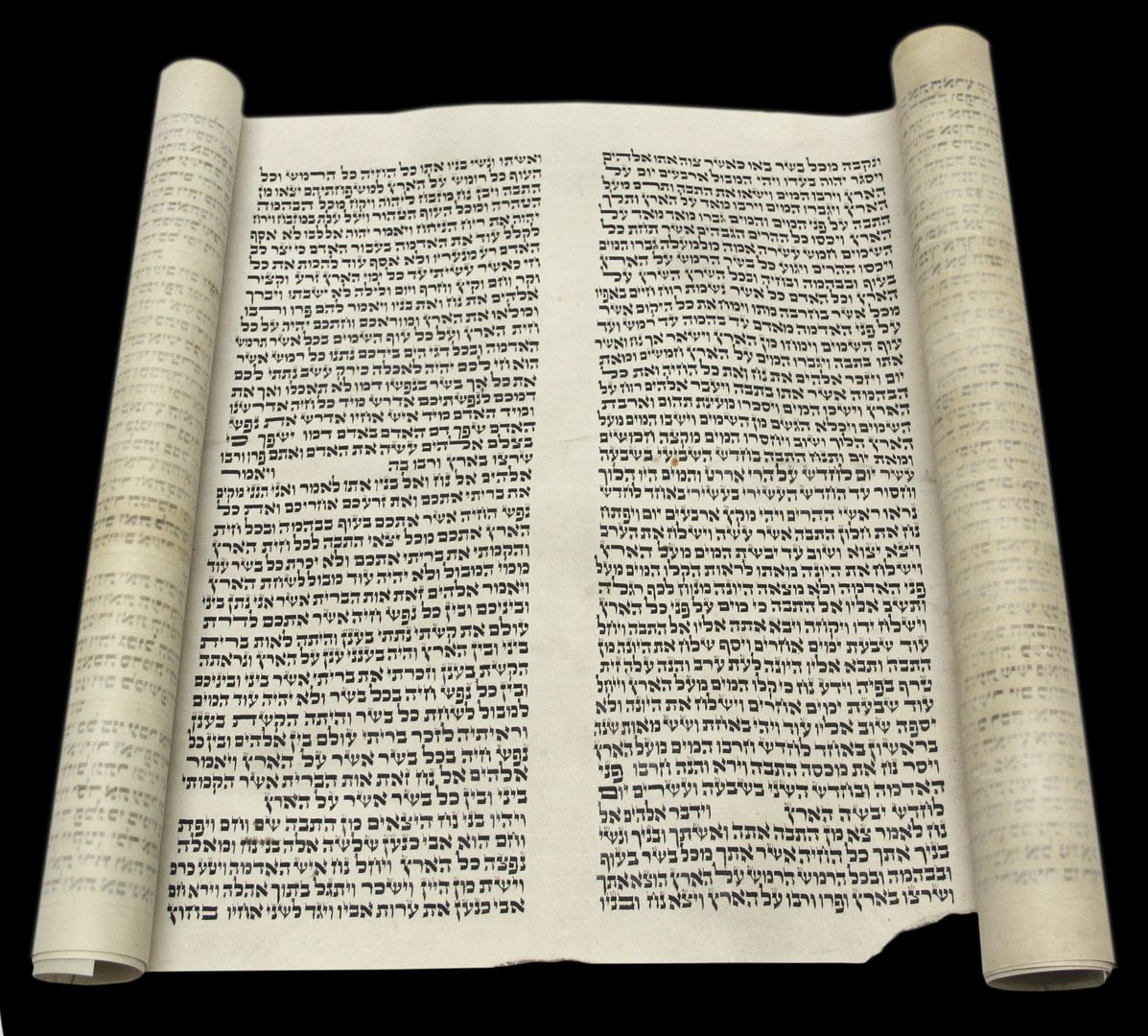 TORAH BIBLE SCROLL VELLUM MANUSCRIPT Genesis SCROLL 150 YRS EUROPE eBay